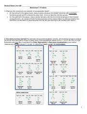 3-Worksheet 7 proteins F'22.pdf