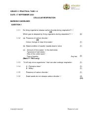 GRADE-11-MARKING-GUIDELINES-PRAC-12-SEP-2020-ENG.pdf
