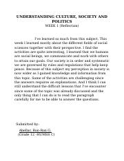 culture reflection essay brainly