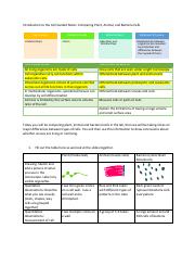 Cells and Scale Comparing Plant, Animal, Bact.pdf