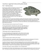 Tyler Dietz - Loggerhead Turtle Case Study.Kami.pdf