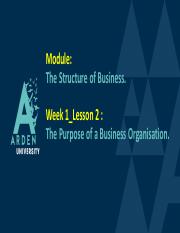 The Structure of Business_Week 1_Lesson 2.pdf