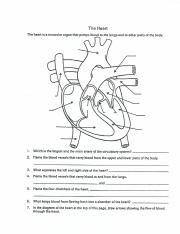 Heart Diagram .pdf