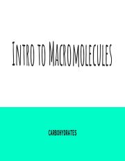 Guided notes (WITH ANSWERS)- Macromolecules (Part 1)-CARBOHYDRATES (1).pdf