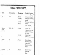 Urinalysis Results.pdf