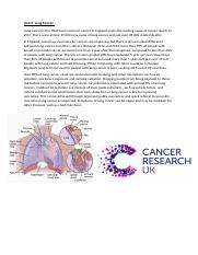 Lung Cancer.docx