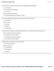 Answers to QUIZ 4 & 5 COMBINED.pdf