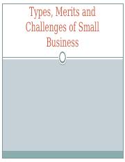 2 Types Merits and Challenges of Small Biz.pptx