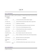 A&P Lab 38 (1).pdf
