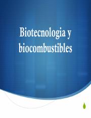 biocombustibles_final.pdf