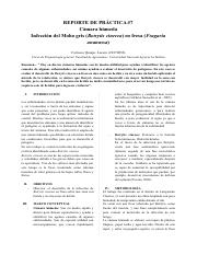 Reporte Camara humeda (5) (1).docx.pdf