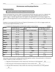 Vanet Belk - Chromosome _ Karyotyping Review Worksheet (2).pdf