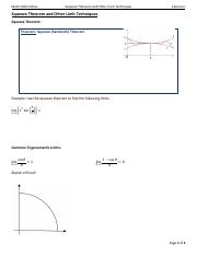 1.3 Squeeze Theorem and Other Limit Techniques.pdf