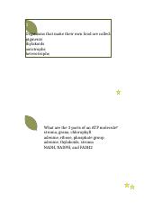 Photosynthesis_Task_Cards-_Student.docx