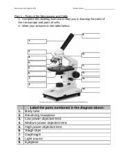 Lab Report_Microscope_lab.docx