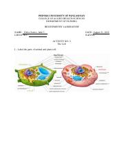 Activity 3 The Cell.docx