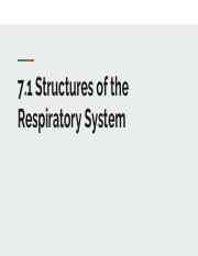 7.1 Structures of the Respiratory System (1).pdf