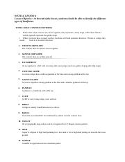 Y9 WEEK 4 LESSON 4 NOTES.docx