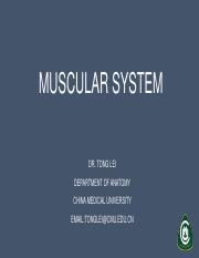 4.Muscular System.pdf