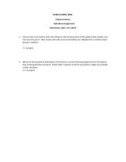 EMBA Global B04 Project Finance Individual Assignment guidelines (1).docx