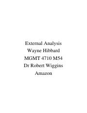 External Analysis.pdf