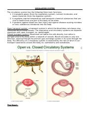 Circulatory System CIA.docx