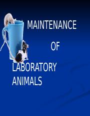 maintainance of lab  - MAINTENANCE OF LABORATORY ANIMALS Proper  management of animal facilities is essential to the welfare of animals, |  Course Hero