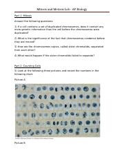 Mitosis and Meiosis Lab - New Curriculum.docx