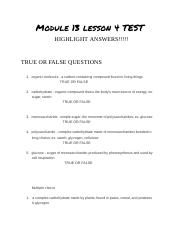 Module 13 lesson 4 TEST - Google Docs.pdf