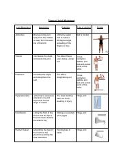 Copy of Types of Joint Movement TEMPLATE.pdf