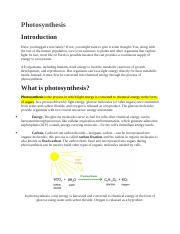 Photosynthesis_Article.docx