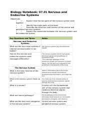 07_01_nervous_and_endocrine_systems.rtf