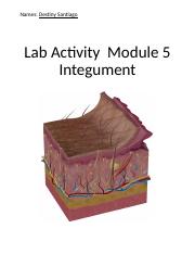 Copy of Module5Ch5_Integument_Lab (1).pptx