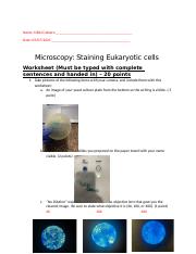 Microscopy+Staining+and+visualizing+Eukaryotic+cells+Worksheet+(3)+(1).docx