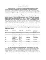 Bio 150 Enzyme Lab Report.docx