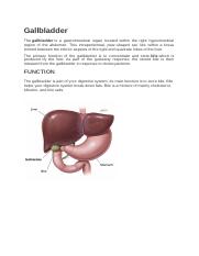 Anatomy of Gallbladder.docx