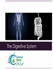 Digestive+System+PPT.pdf