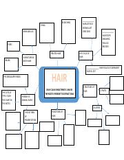Copy of hair and fiber concept map STUDENT (2).pdf - BLEACHING DYING ARM  AND LEG _ HAIR ACTIVELY GROWS LAST 1000 DAYS PUBIC TREATED | Course Hero