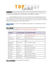 Terrance Stevens - Group Activity Top Chef Cell Edition! - 3942794.pdf