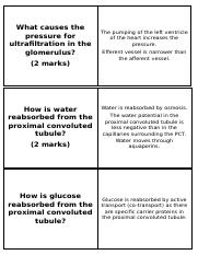 Regulating-blood-water-kidney-cards.docx