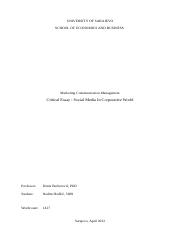 Critical Essay - Nedim Hodžić.docx
