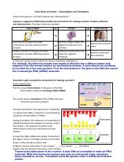 From Gene to Protein—Transcription and Translation Student Worksheet completed (1).pdf