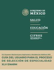 E45_Guia_Usuario_Proceso_Seleccion-VF (1).pdf