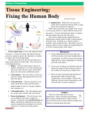 Nurudeen Rahmon - Tissue Engineering-Fixing the Human Body.pdf