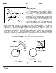 Cell-Membrane-Bubble-Lab - flattened.pdf