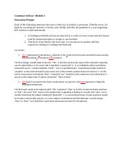 Grammar Advisor Module 4 Discussion Topic.docx