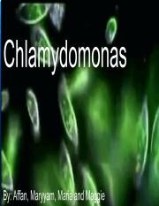 Chlamydomonas .pdf