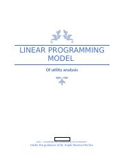 linear programming model.docx