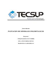 flotacion-de-minerales-polimetalicos_compress.pdf