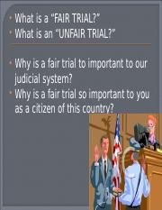 14.  Criminal Justice Process - The Trial-2